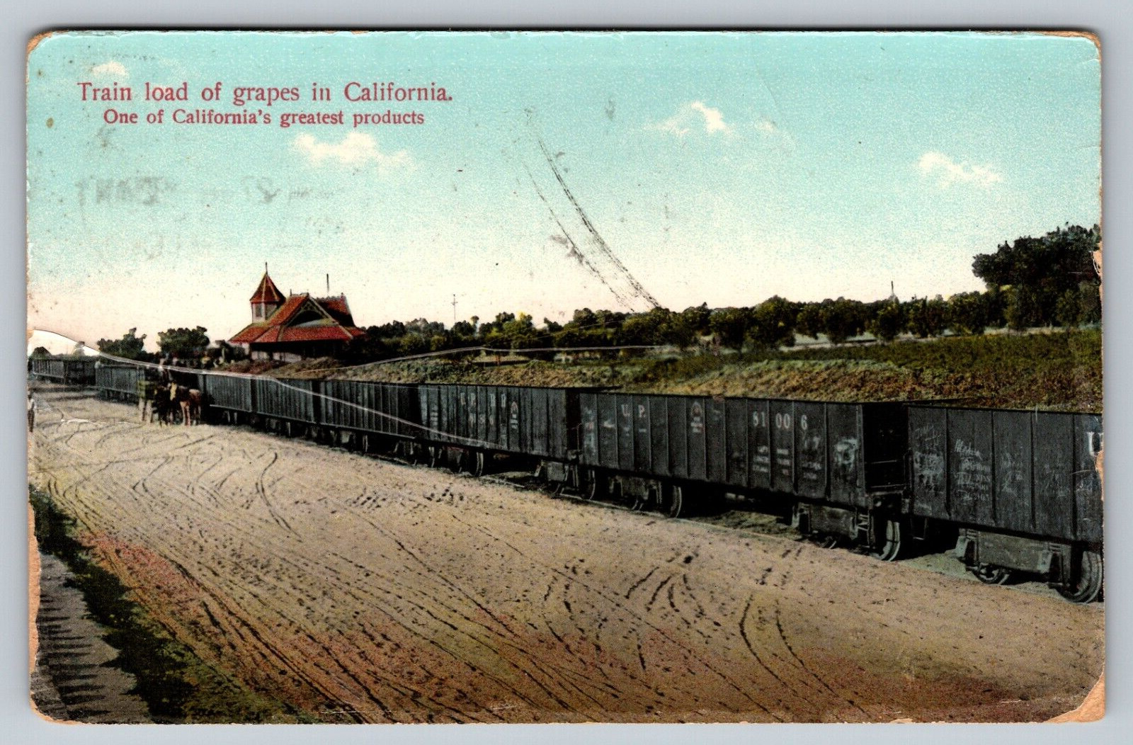 Train Load of Grapes in California  Vintage  Postcard