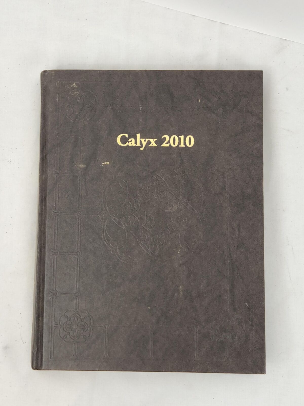 Washington & Lee University 2010 Yearbook (The Calyx) - USA