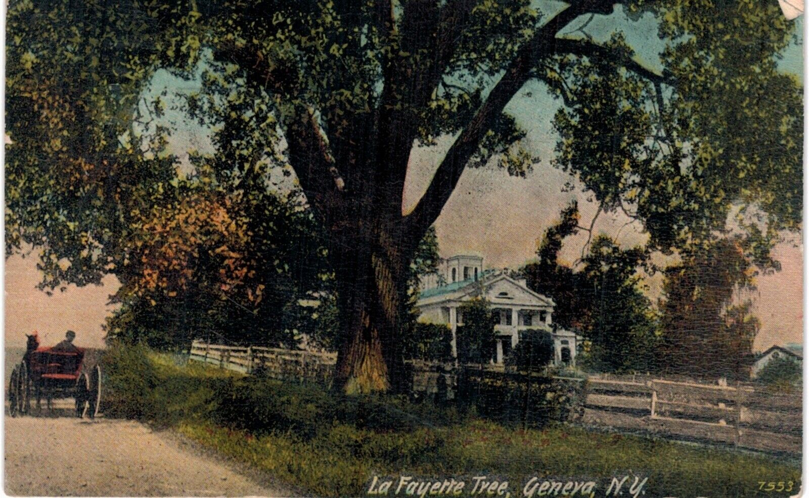 Geneva Lafayette Tree 1910 NY 