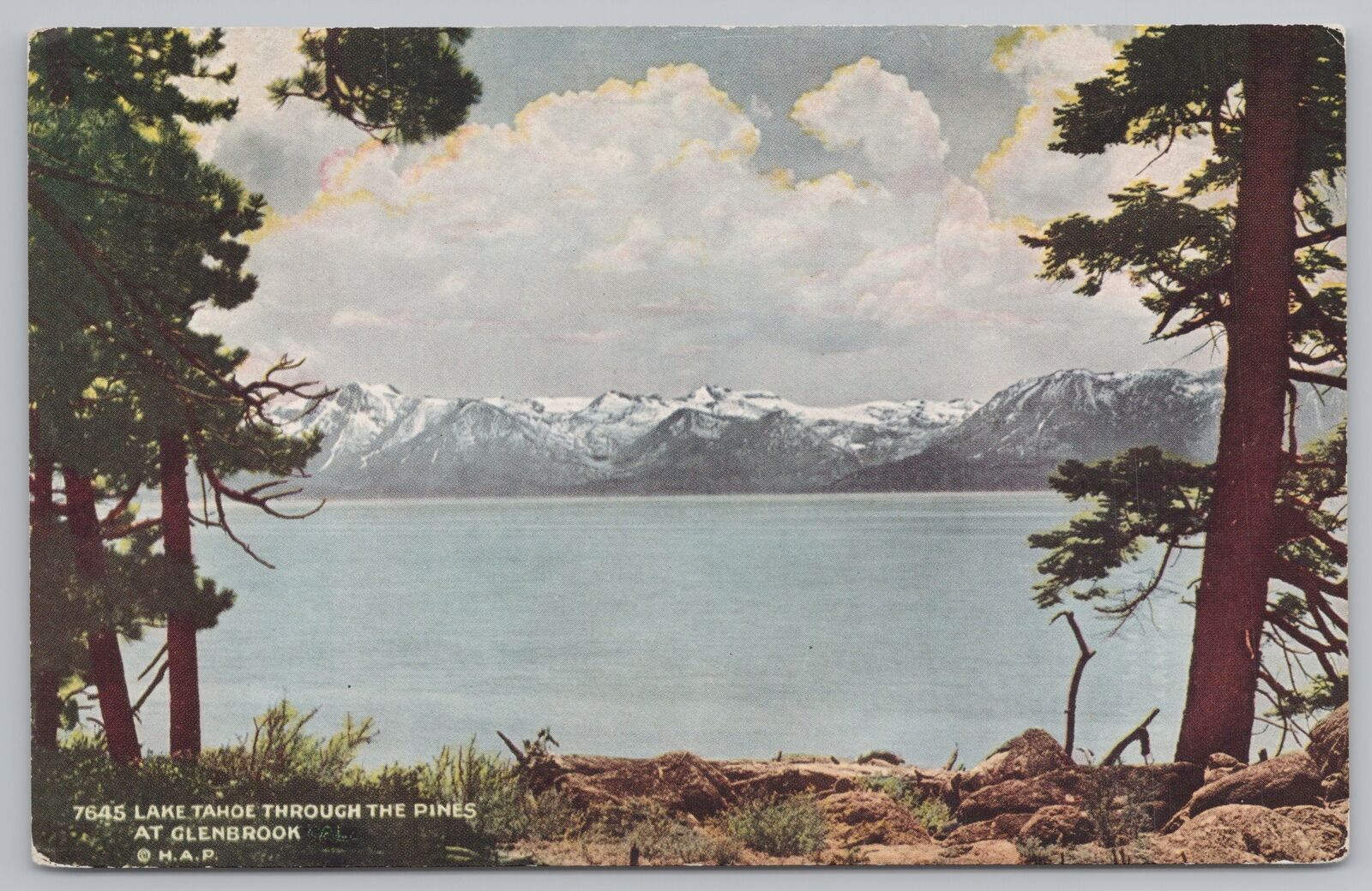 State View~Lake Tahoe California~Lake Through Pines @ Glenbrook~Vintage Postcard