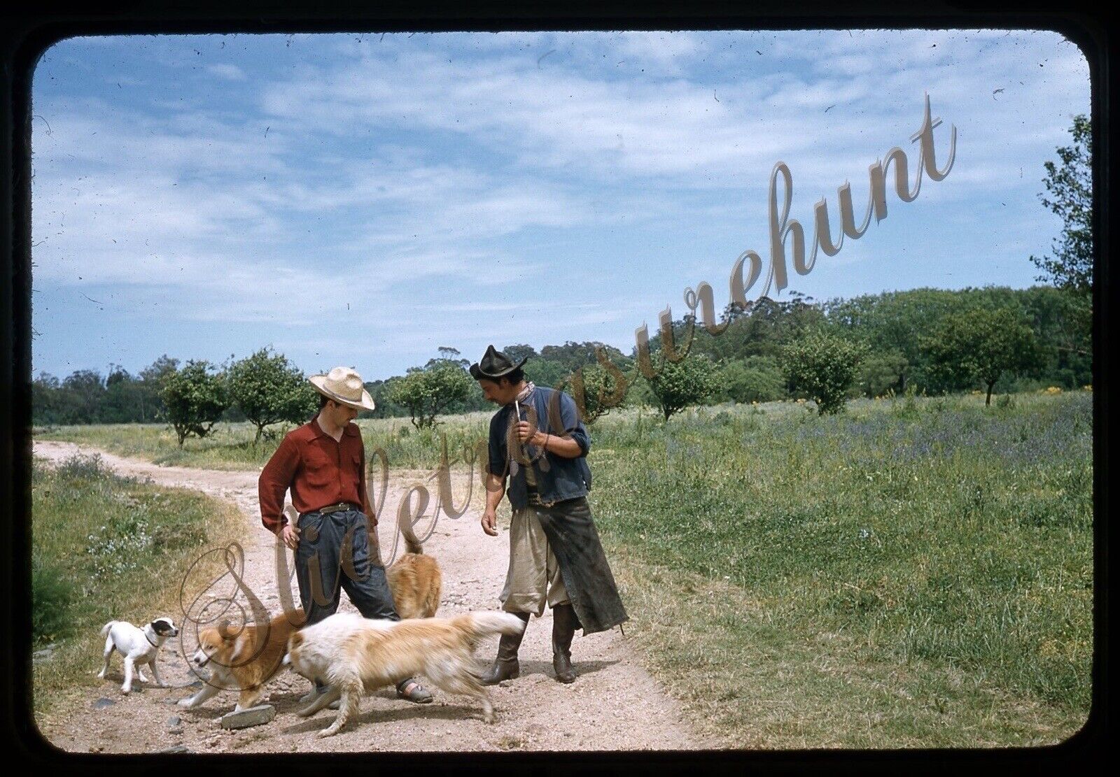Argentina Men Dogs Cowboys 35mm Slide 1950s Red Border Kodachrome