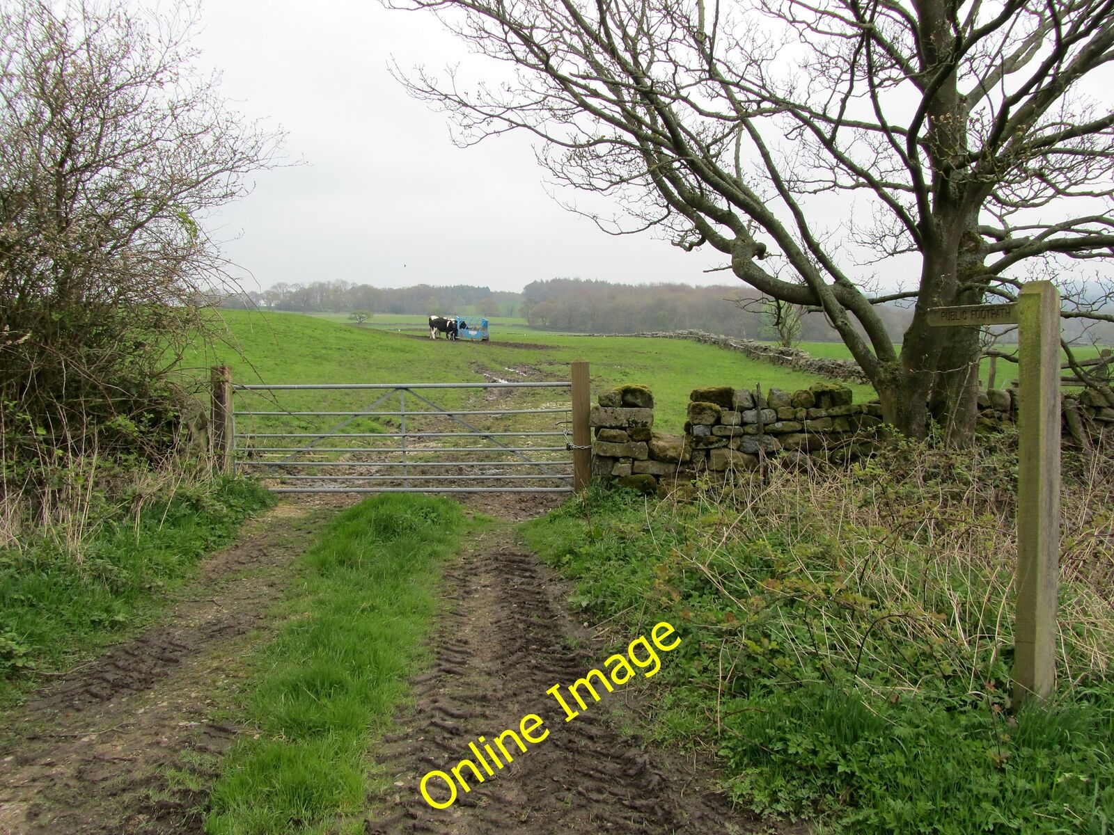 Photo 12x8 Footpath leading to Spring House Hartwith A footpath leaves Cha c2012