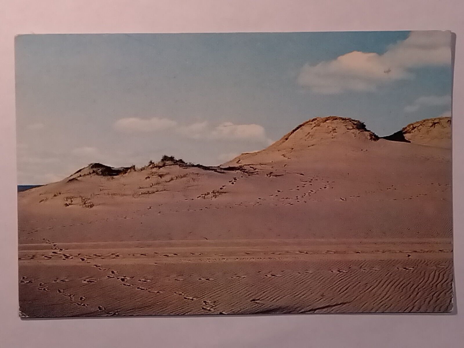 Sand Dunes Cape Cod Massachusetts Posted 1963 Postcard