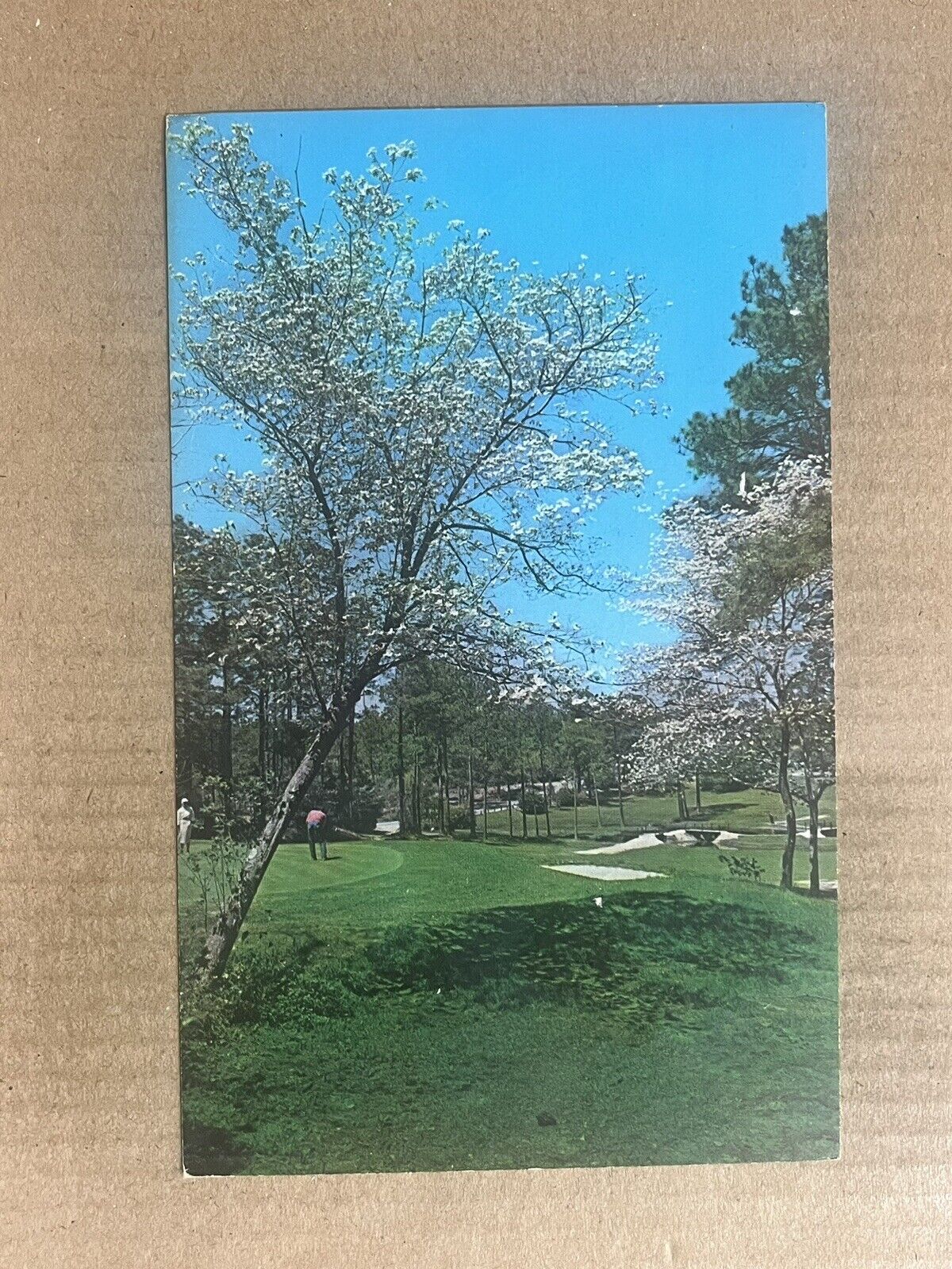 Postcard Ocean Springs MS Mississippi Gulf Hills Golf Course Country Club