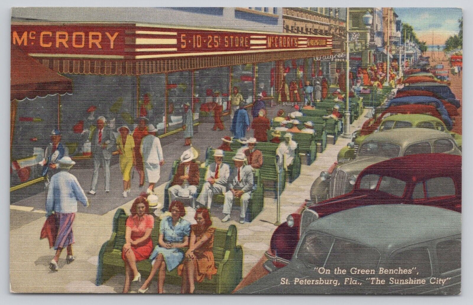 Famous Green Benches People 1940s Cars St. Petersburg Florida FL 1940 Postcard