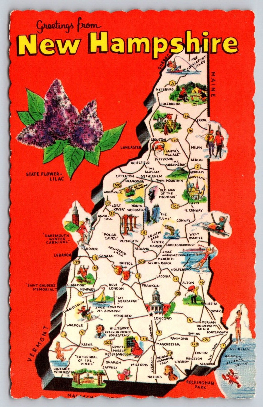 Postcard Greetings From New Hampshire  Granite State   [gk]