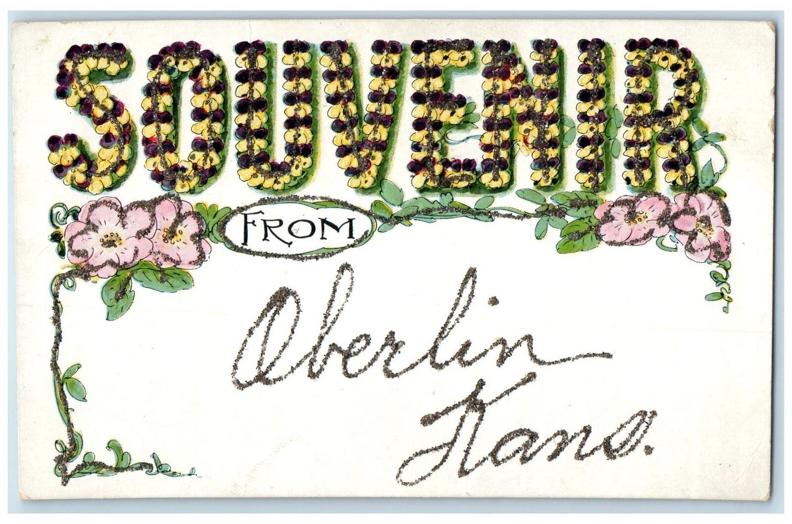 c1910s Embossed Flowers Scene Souvenir From Oberlin Kansas KS Unposted Postcard