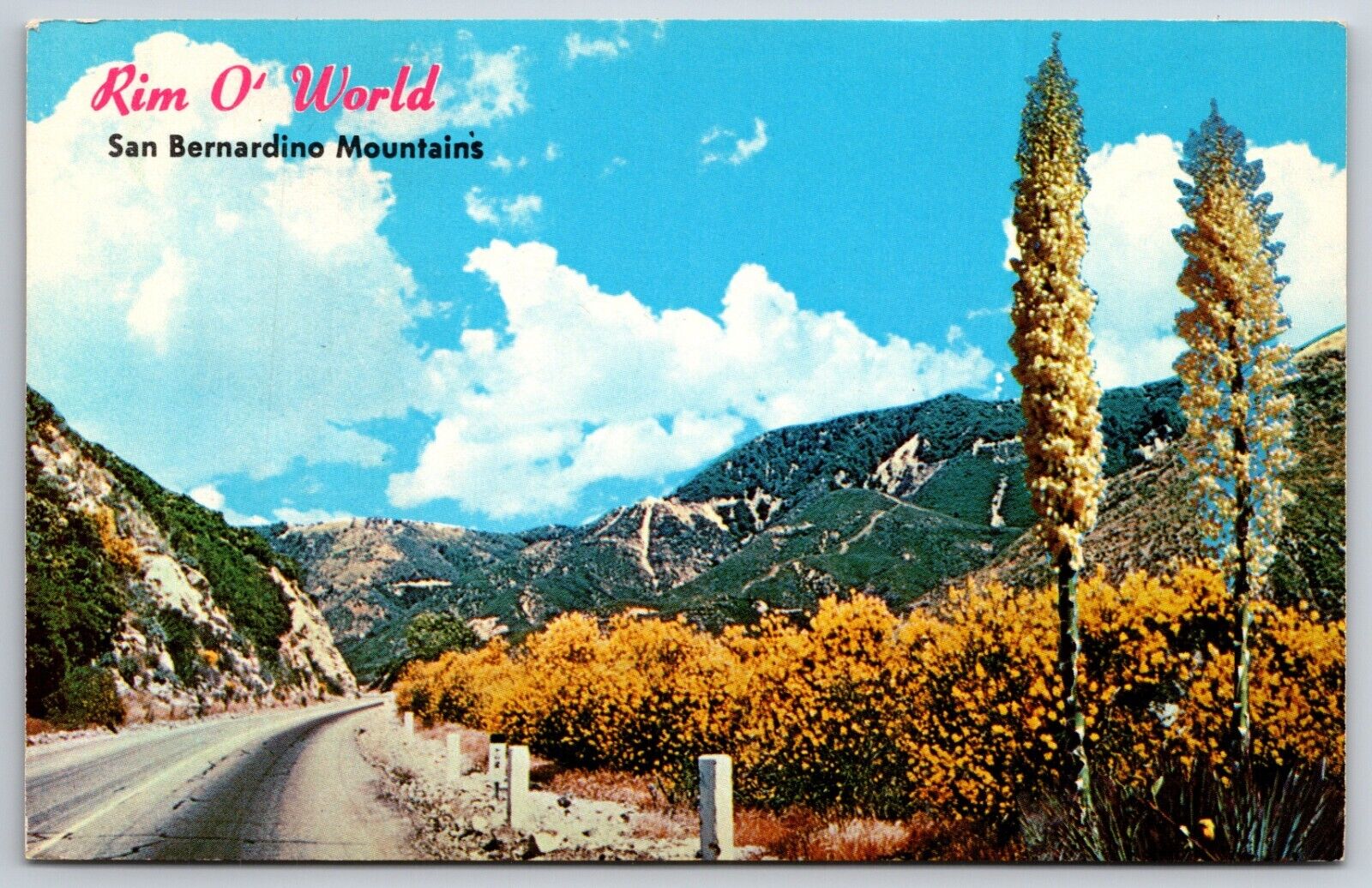 Greetings From Rim O\' World San Bernardino Mountains CA UNP Chrome Postcard A13