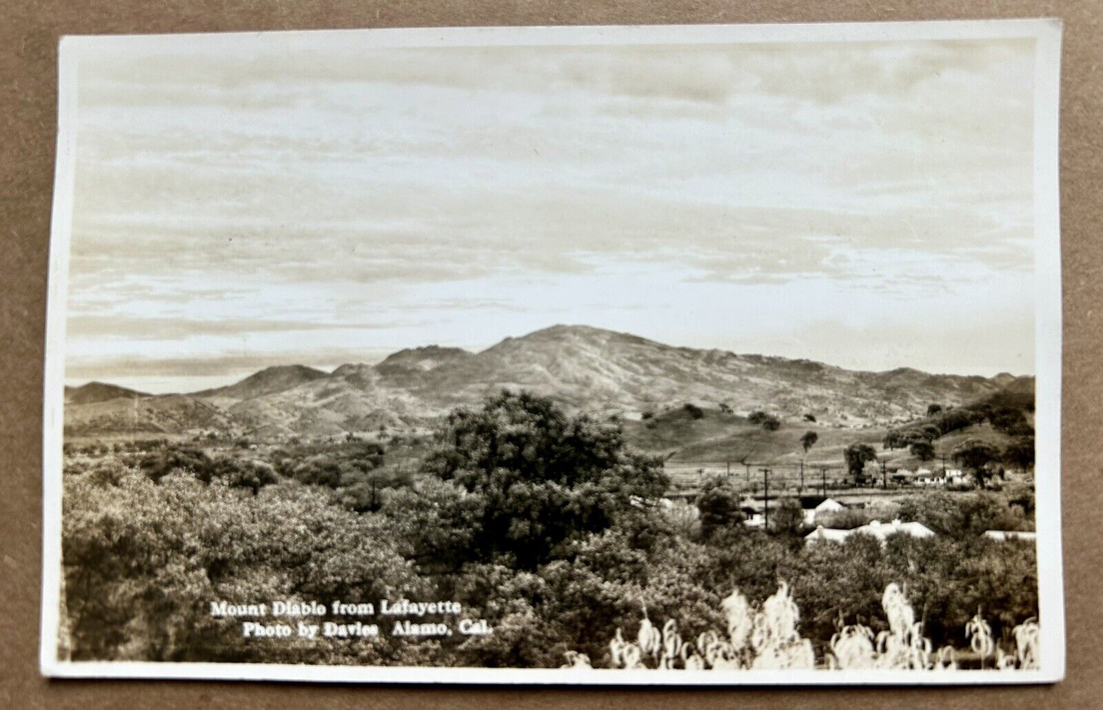 Mount Diablo from Lafayette. Real Photo Postcard. RPPC. Alamo California