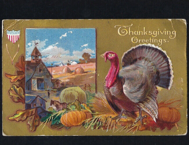 c1909 Thanksgiving Greetings Turkey Pumpkin Farm American Flag Embossed Postcard