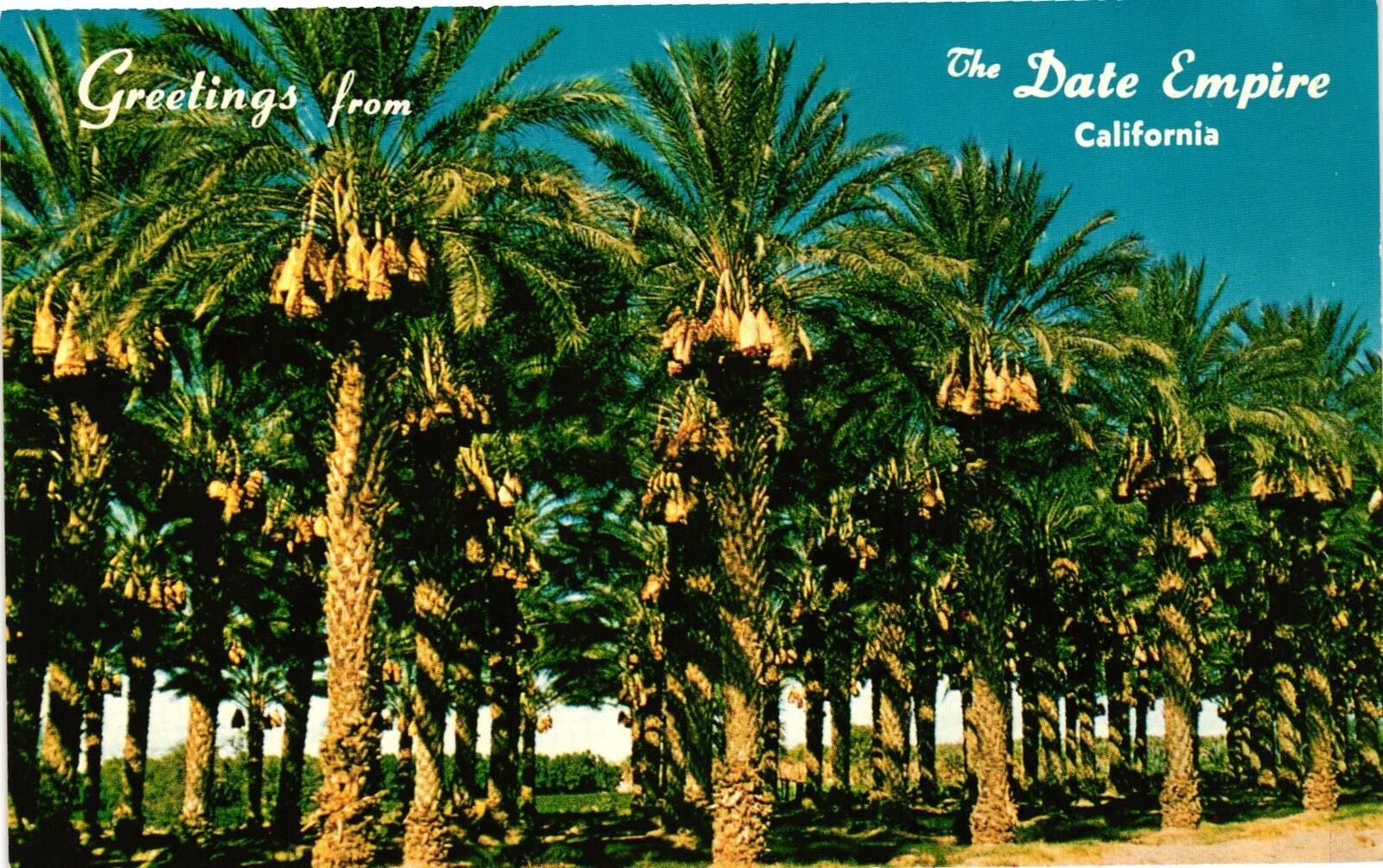 Vintage Postcard- The Date Empire, California 1960s
