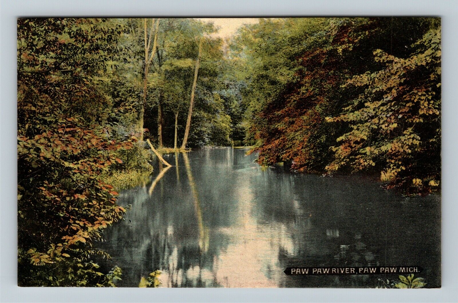 Paw Paw MI-Michigan, Scenic Paw Paw River c1910 Vintage Postcard