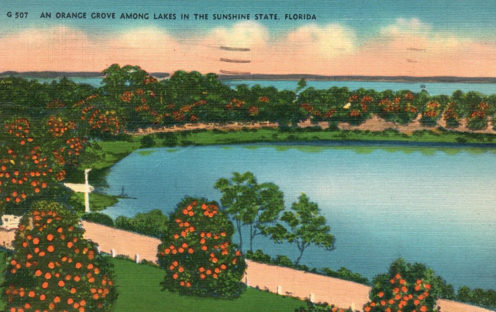 Postcard FL An Orange Grove among Lakes Florida 1954 Linen Vintage PC f8681