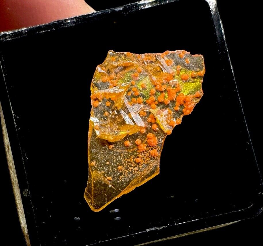 Wulfenite & Mimetite Crystals: Tiger . Pinal County , Arizona 🇺🇸