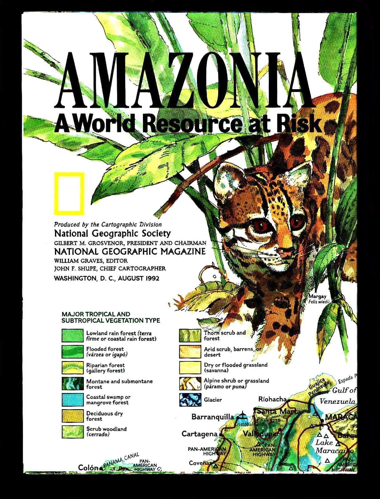 1992-8 August National Geographic Map AMAZONIA WORLD RESOURCE RISK Amazon - B(A)
