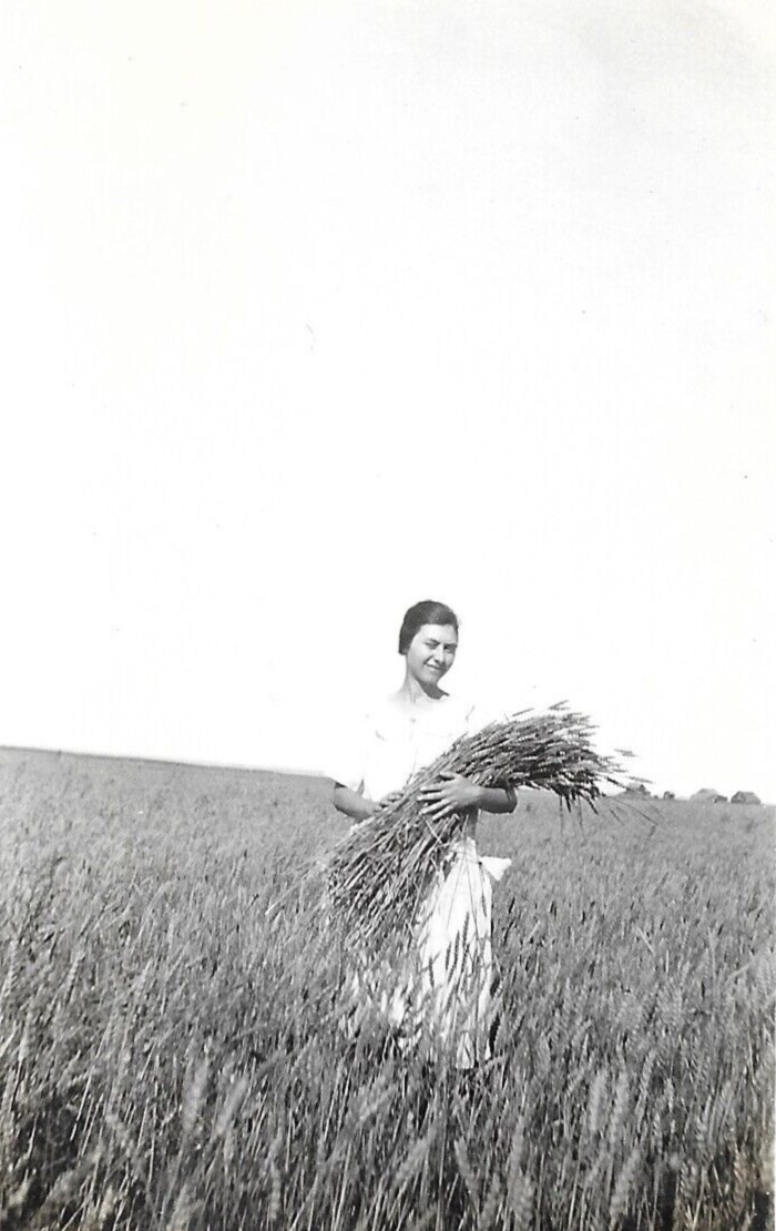 Pretty Woman in a Field Holding Crop, Vintage Snapshot Photo