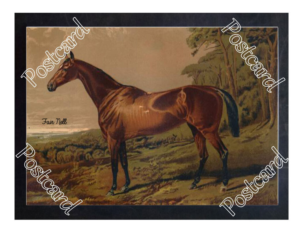 Historic 'Fair Nell' 1879 Horseracing Postcard