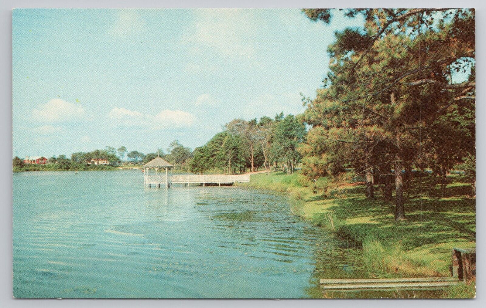 Postcard Beautiful Silver Lake Looking West Delaware DE
