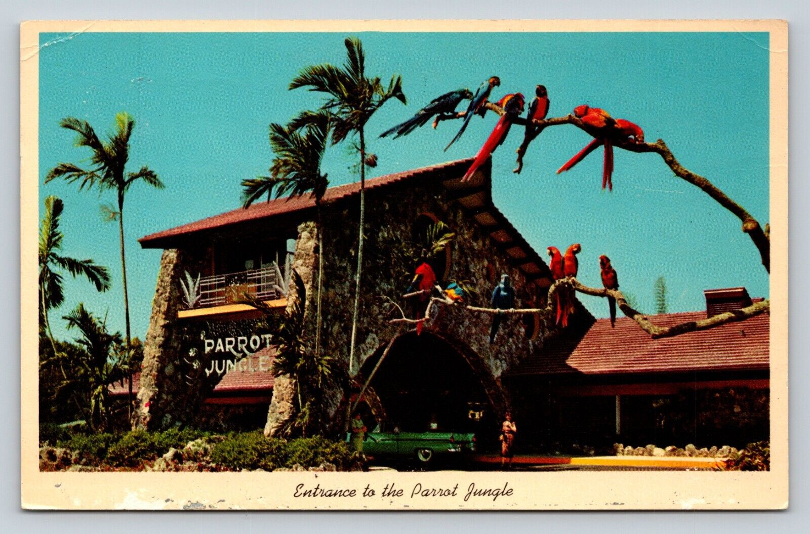 c1964 Unusual Entrance To Parrot Jungle Miami, Florida FL VINTAGE Postcard