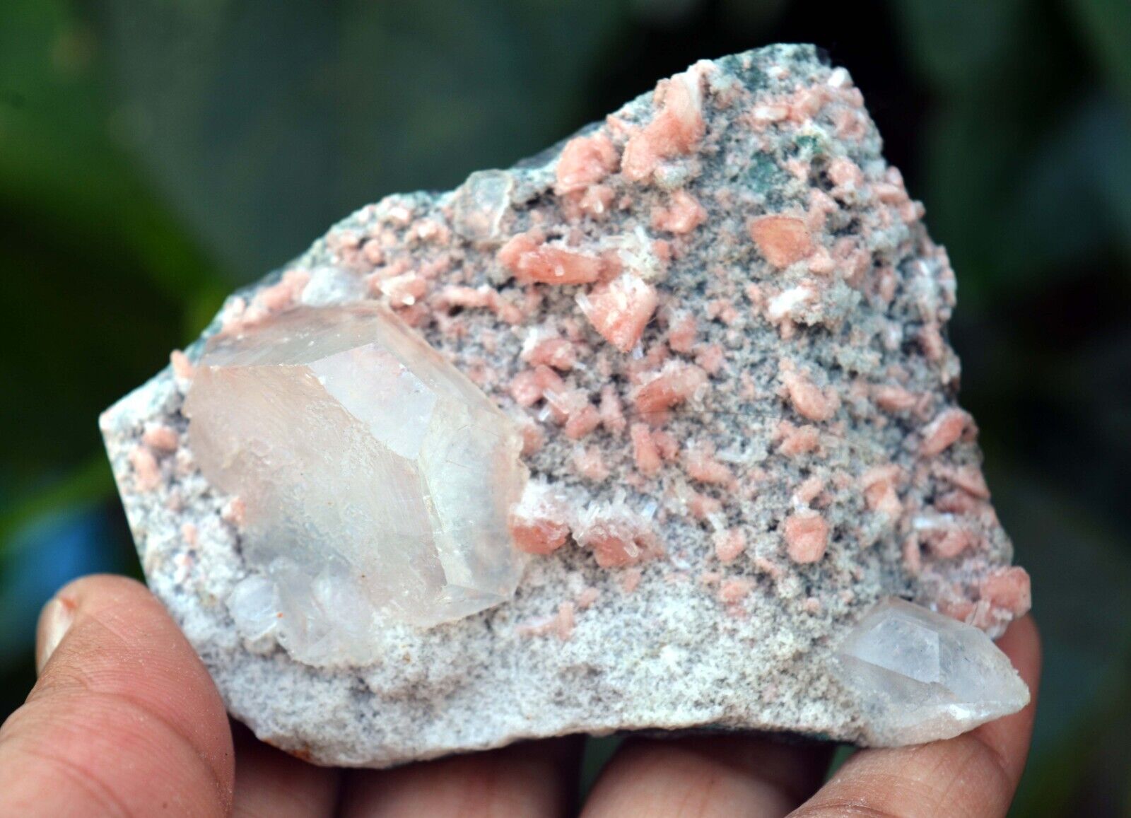 APOPHYLLITE On Red HEULANDITE & CHALCEDONYMatrix Minerals M-5.24