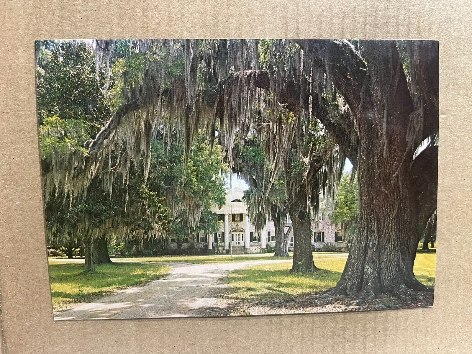 Postcard Walterboro SC South Carolina Bonnie Doone Plantation Home Vintage PC