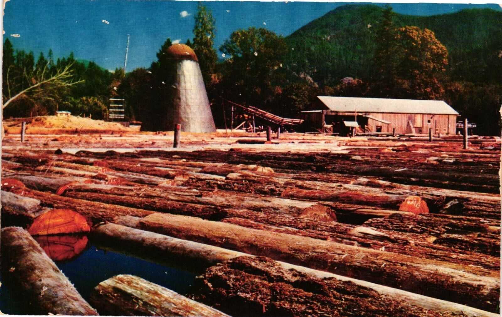 Postcard The Old Sawmill