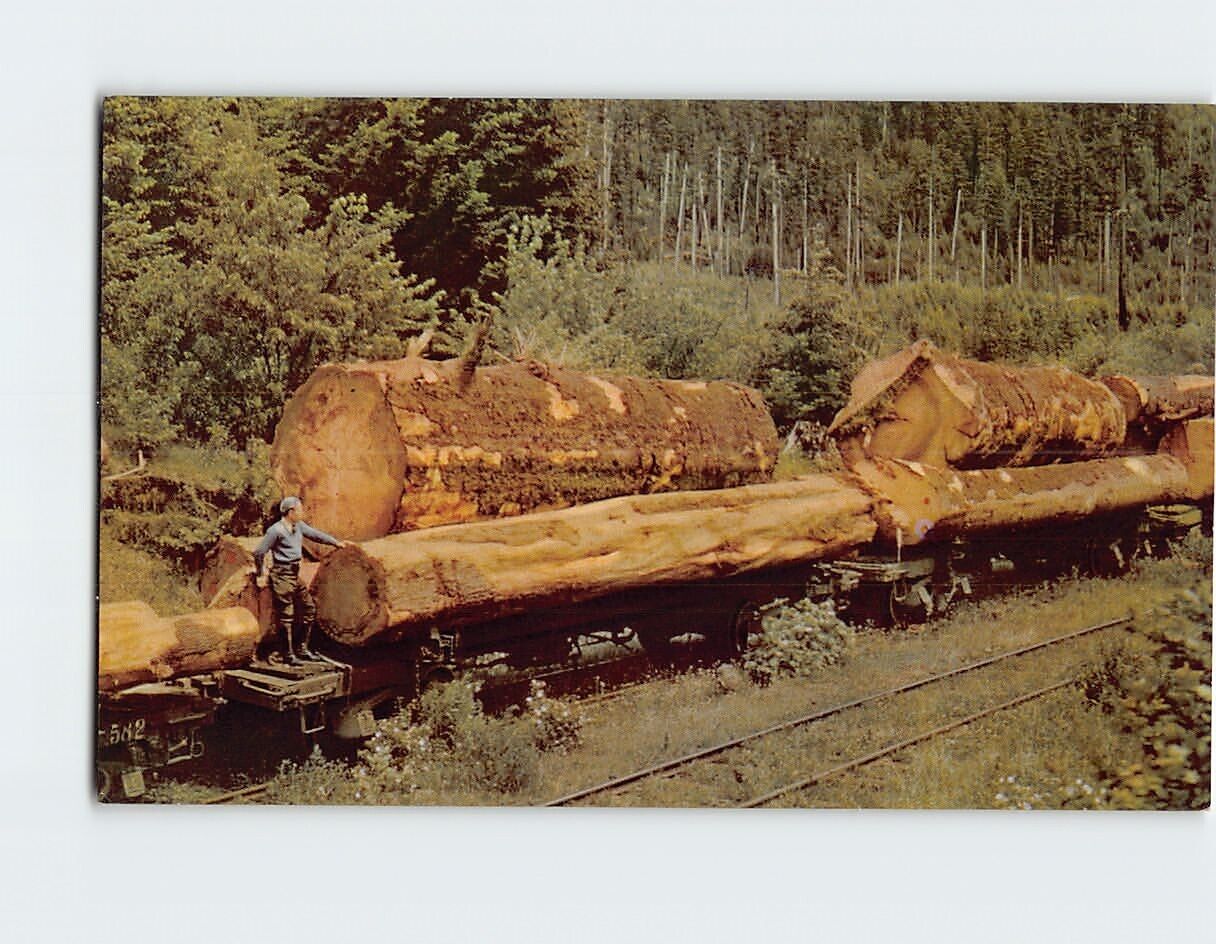 Postcard Logging Train Pacific Northwest USA North America