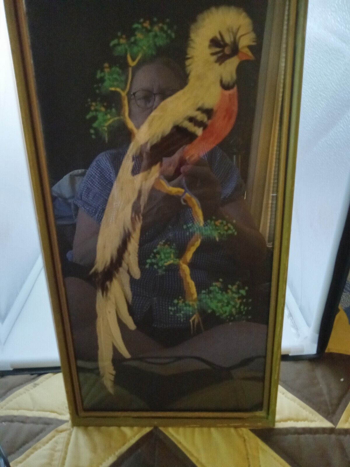 Vtg Feather Parrot Picture Framed Painted Branch Leaves 17 x 9 Inch