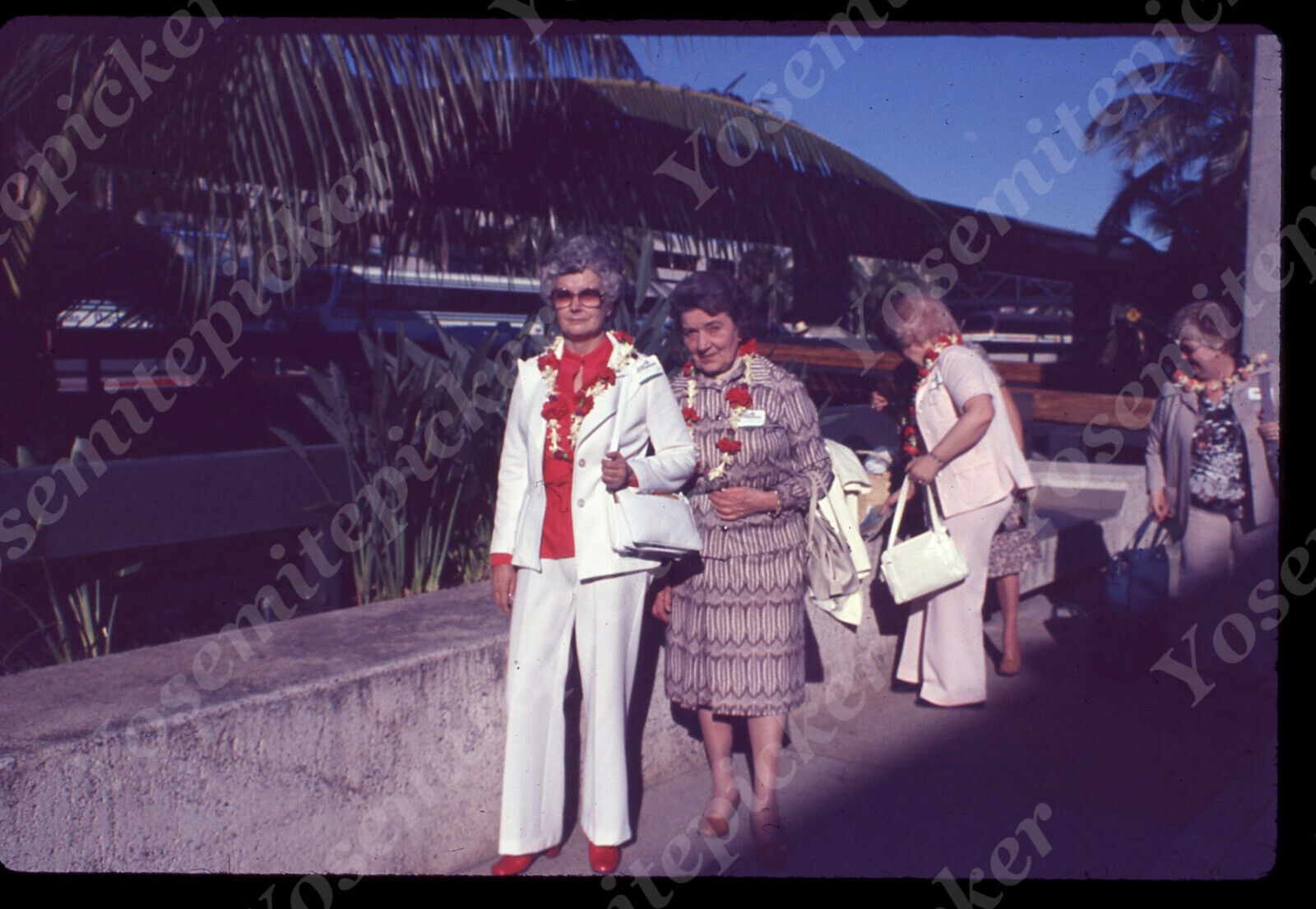 sl67 Original slide 1970\'s  Hawaii airport arrival 016a