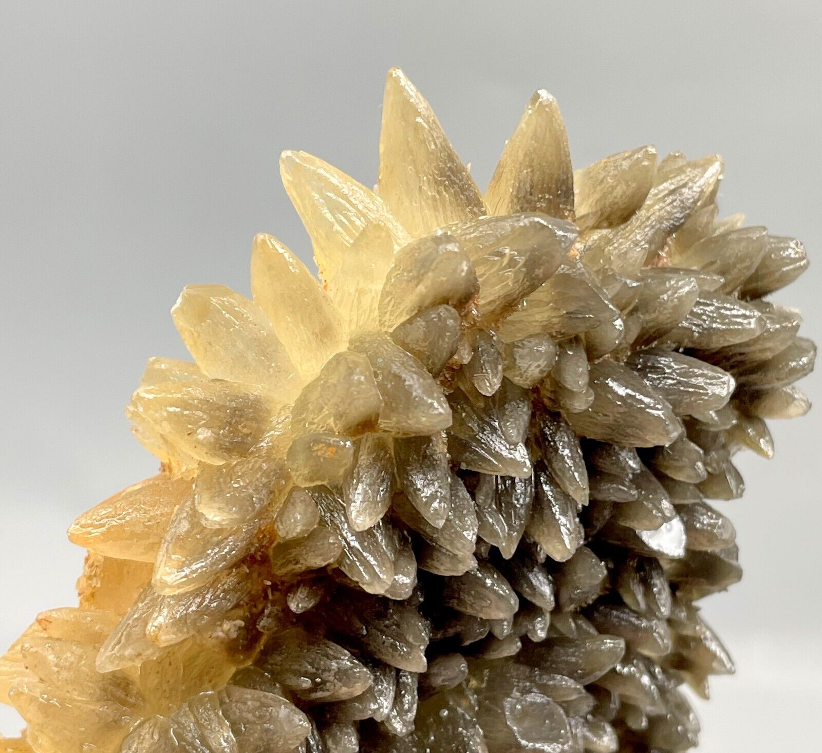 160 Gm Beautiful Natural Rare Dog Tooth Calcite Crystals Specimen ~ Pakistan