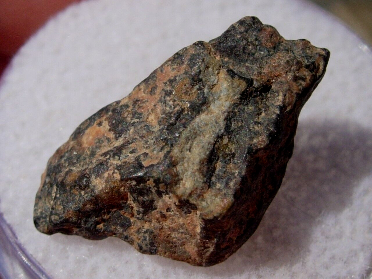 1.43 grams NWA 6859 Meteorite fragment (Class CV3) found in NorthWest Africa COA