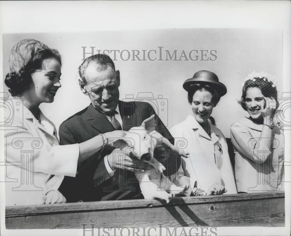 1964 Press Photo King Frederik of Denmark & family with a piglet