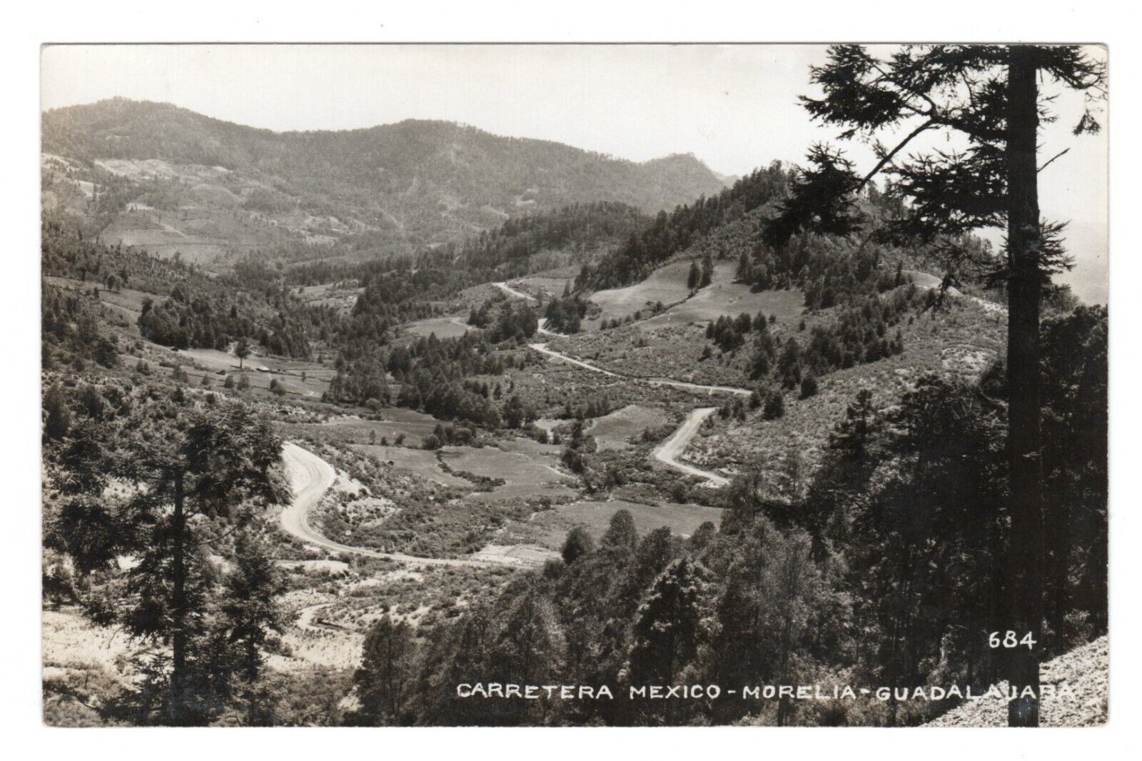 RPPC Carretera Mexico Morelia Guadalajara Forest Mountains Real Photo Postcard