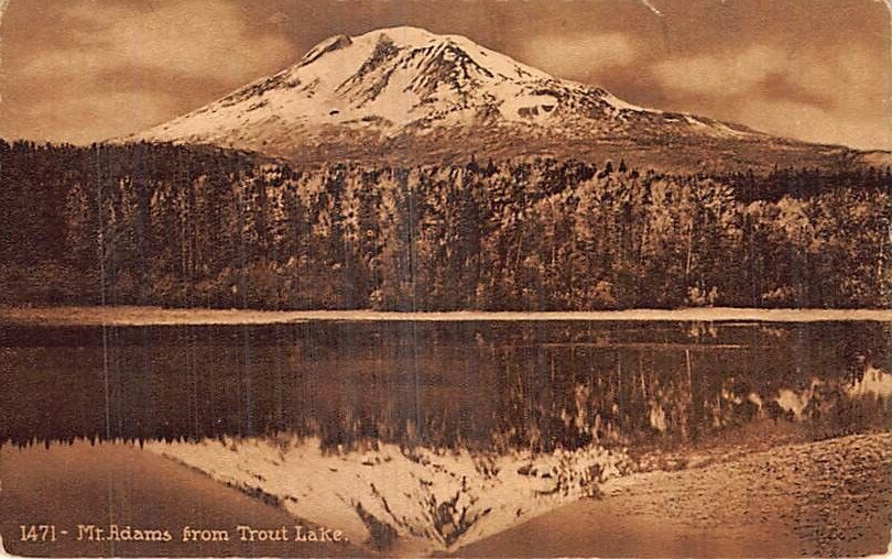Postcard OR: Mt. Adams from Trout Lake, Oregon, Sepia Photo, Mitchell DB 1910\'s