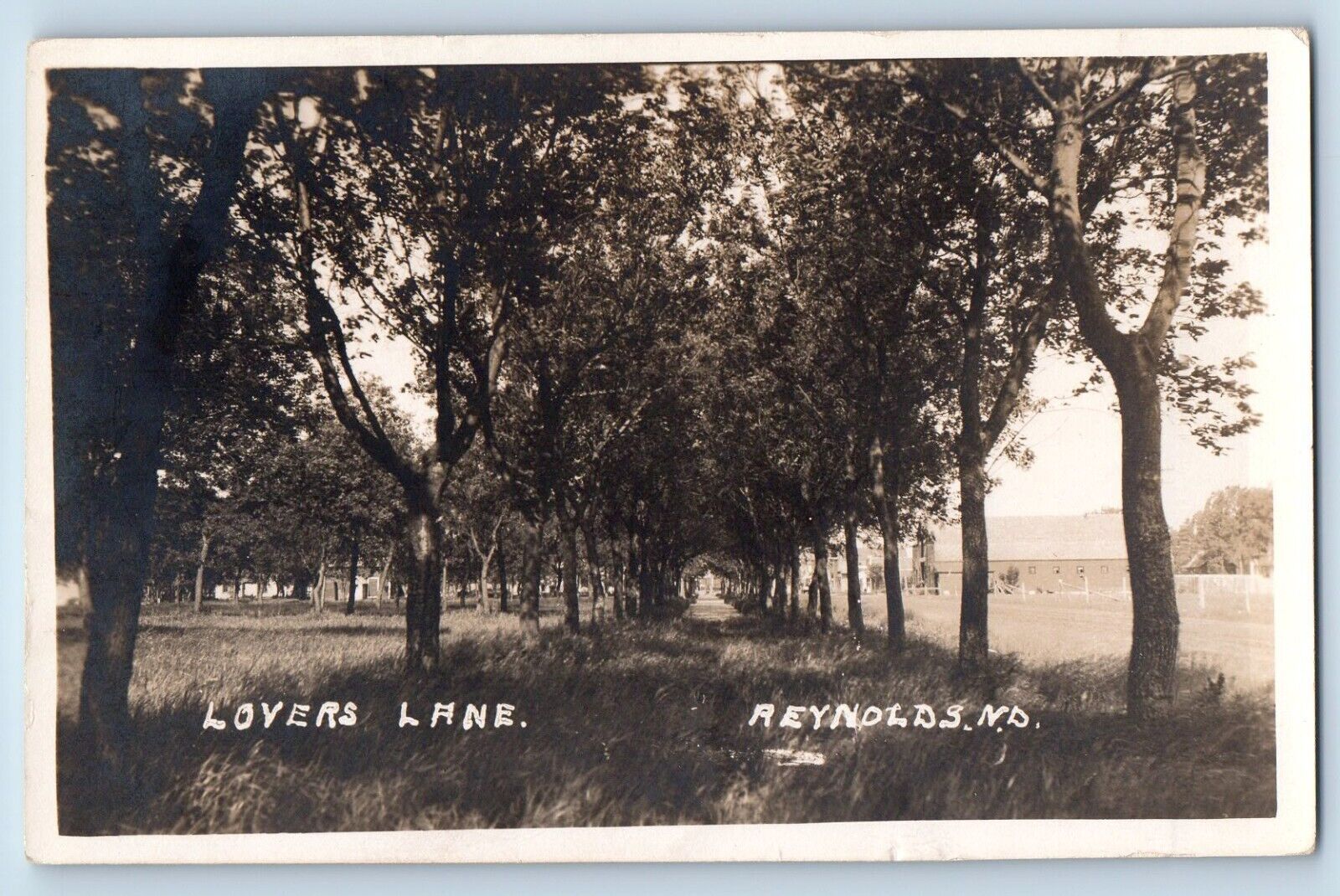 Reynolds North Dakota ND Postcard RPPC Photo Lovers Lane Tree Lined c1910\'s