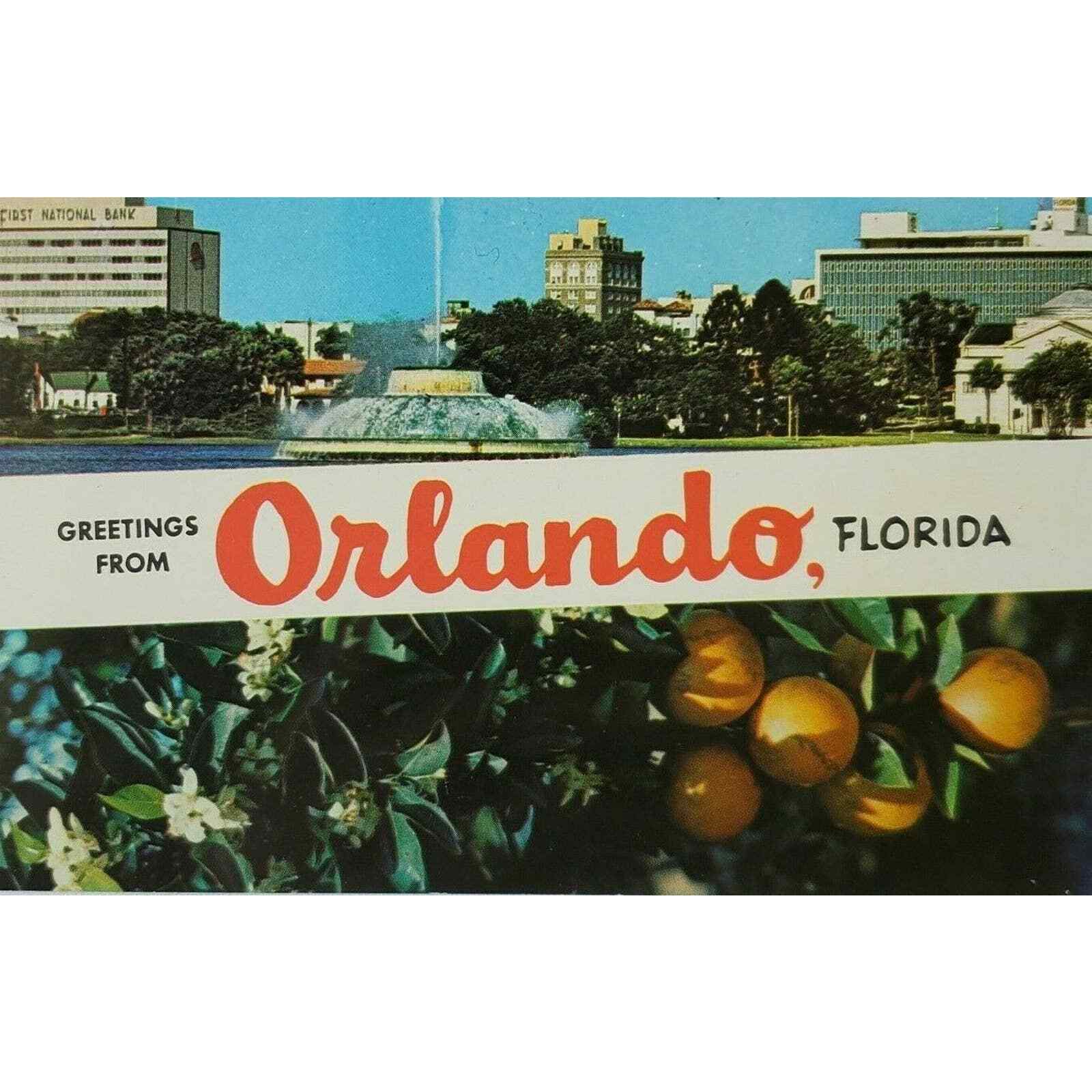 Orlando Florida Greetings Centennial Fountain Lake Eola Orange Blossom Postcard