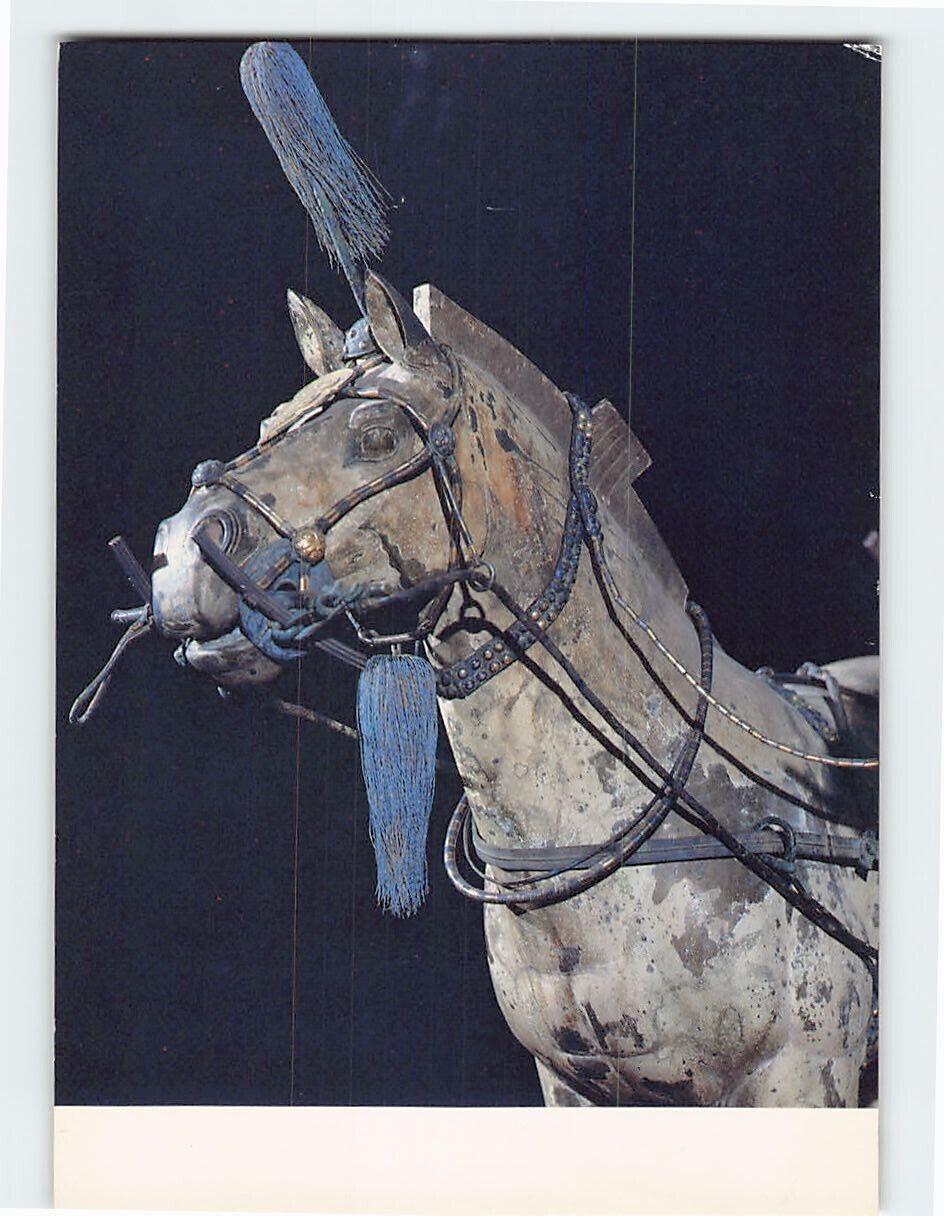 Postcard The copper horse