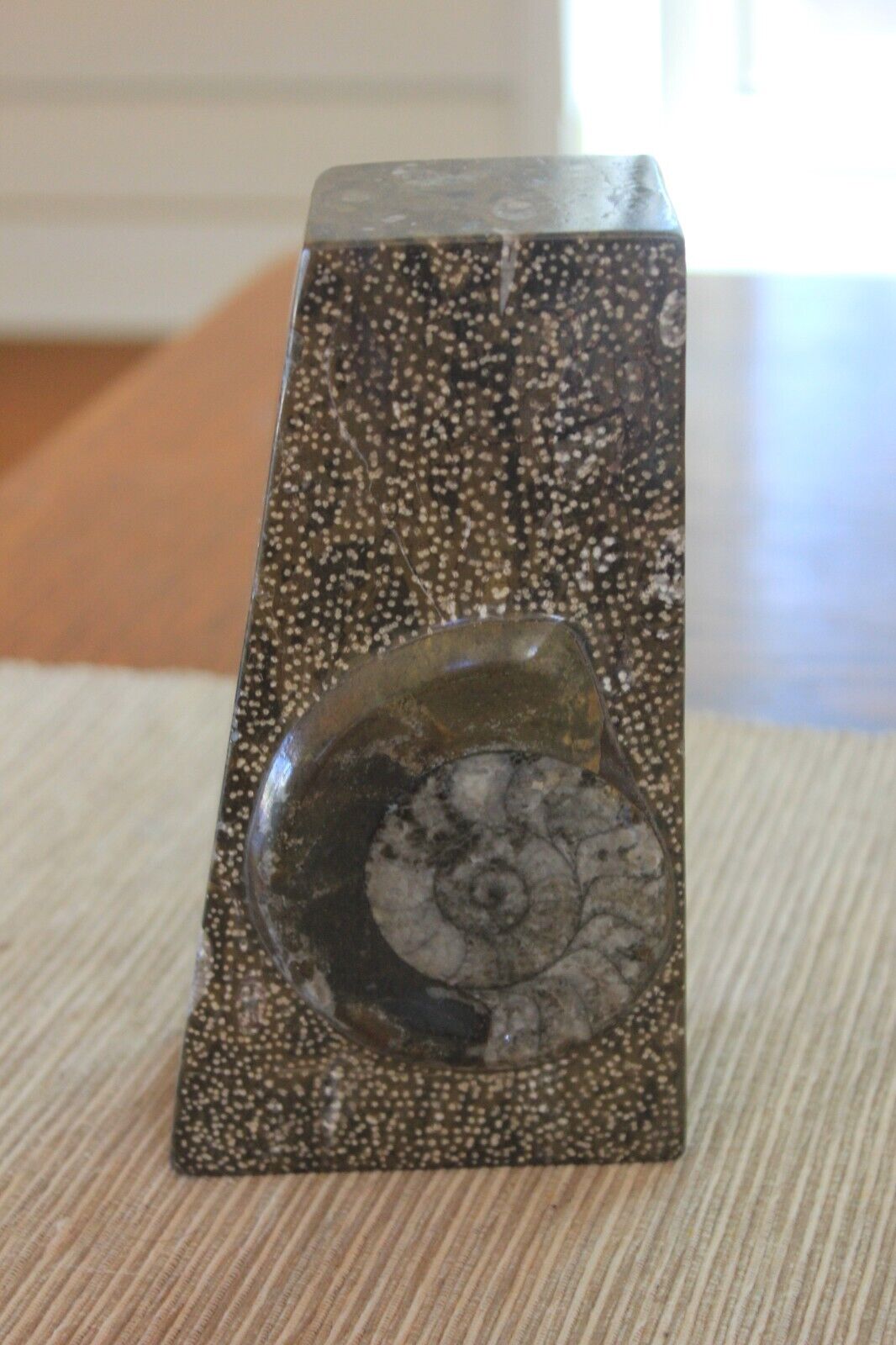 Unique Vintage Polished Ammonite Fossil Bookend Paperweight Madagascar