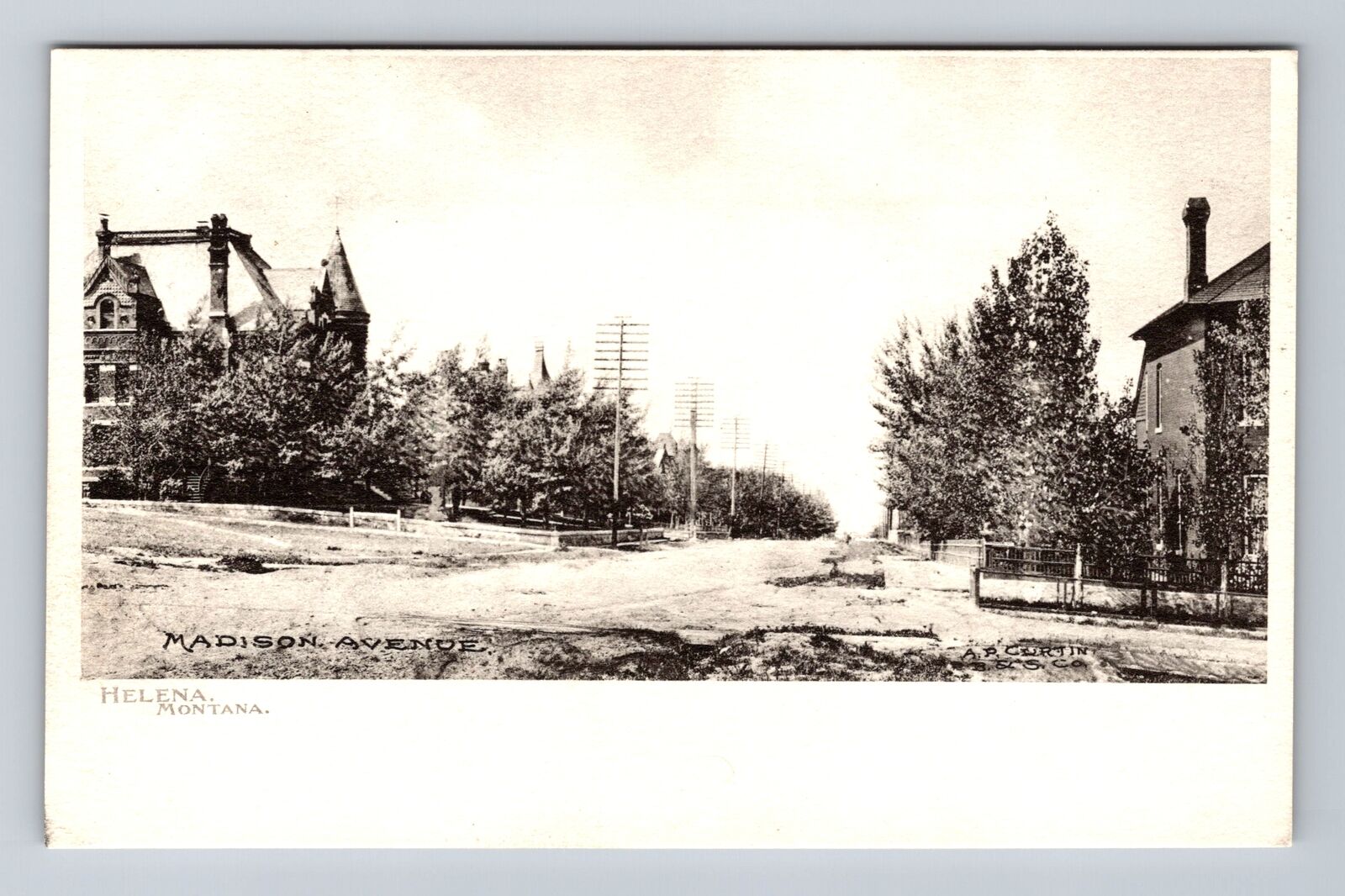 Helena MT-Montana, Residences On Madison Avenue, Antique, Vintage Postcard