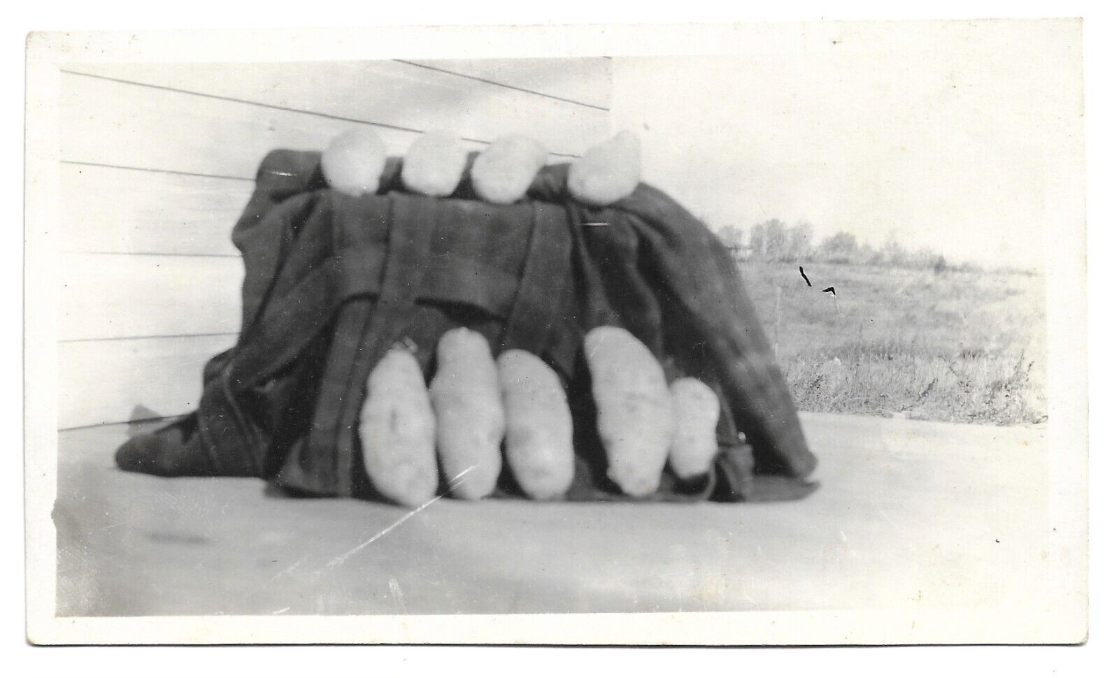 Unusual Potatoe Display, Still Life, Vintage Snapshot Photo