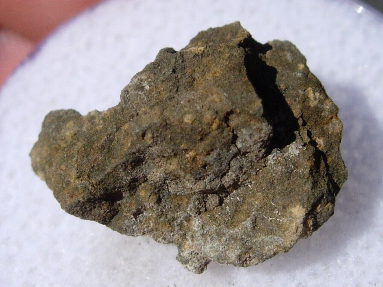 1.07 grams NWA 14596 Carbonaceous chondrite (CK3) Meteorite fragment with a COA