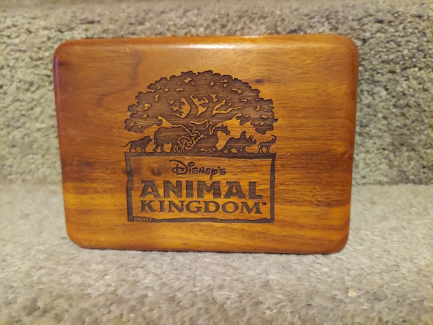Vintage Disney's Animal Kingdom Laser Engraved Wood Hinged Trinket/Jewelry Box