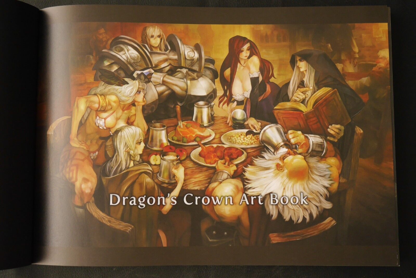 NEW JAPAN Dragon's Crown Art Book