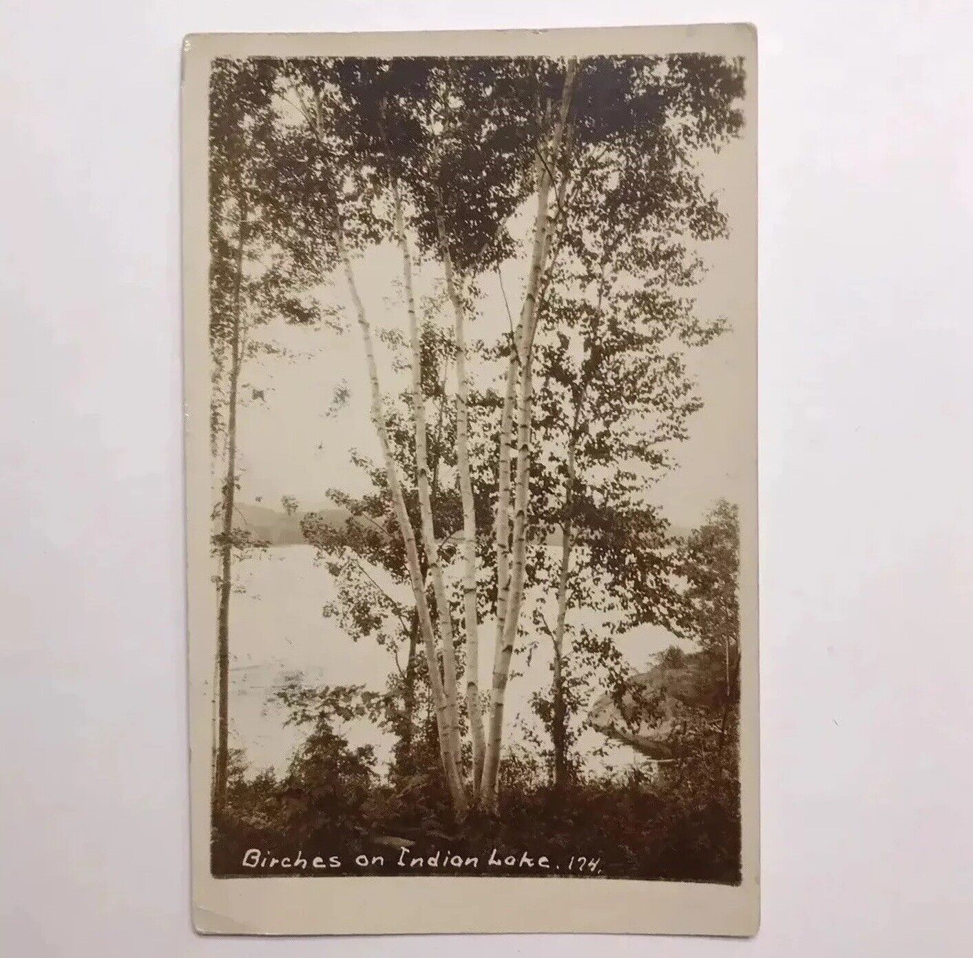 RPPC New York Birches on Indian Lake Postcard Vintage Antique Sabael PM 1916?