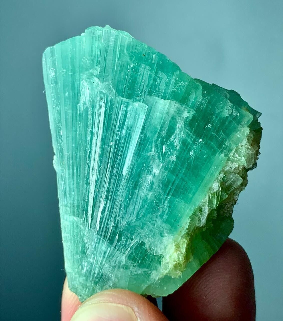 Tourmaline Crystal Specimen From Afghanistan 155 Carat