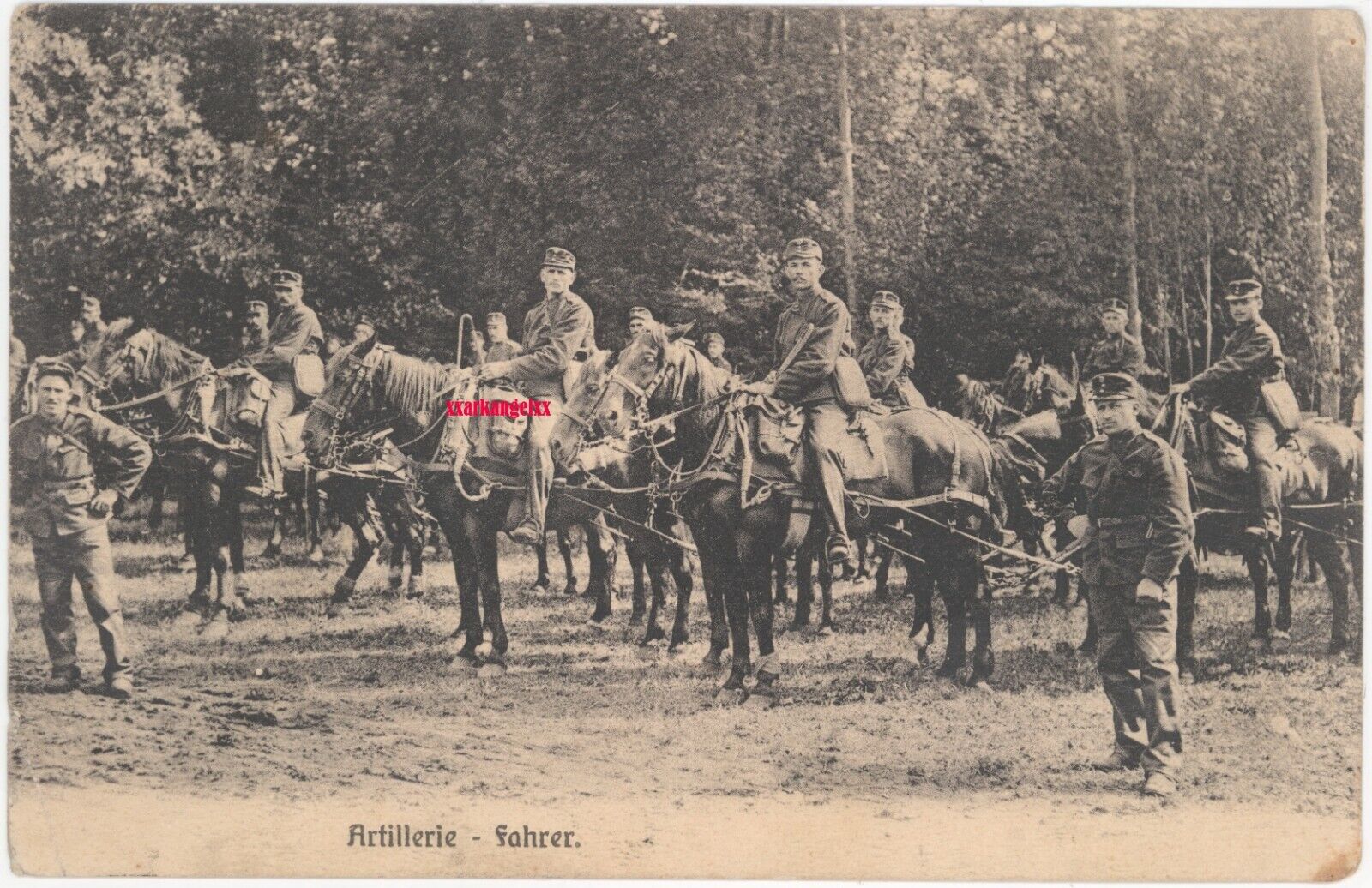 №tas24  WW1. Austro-Hungary photo / K.U.K. soldiers / artillery with horses