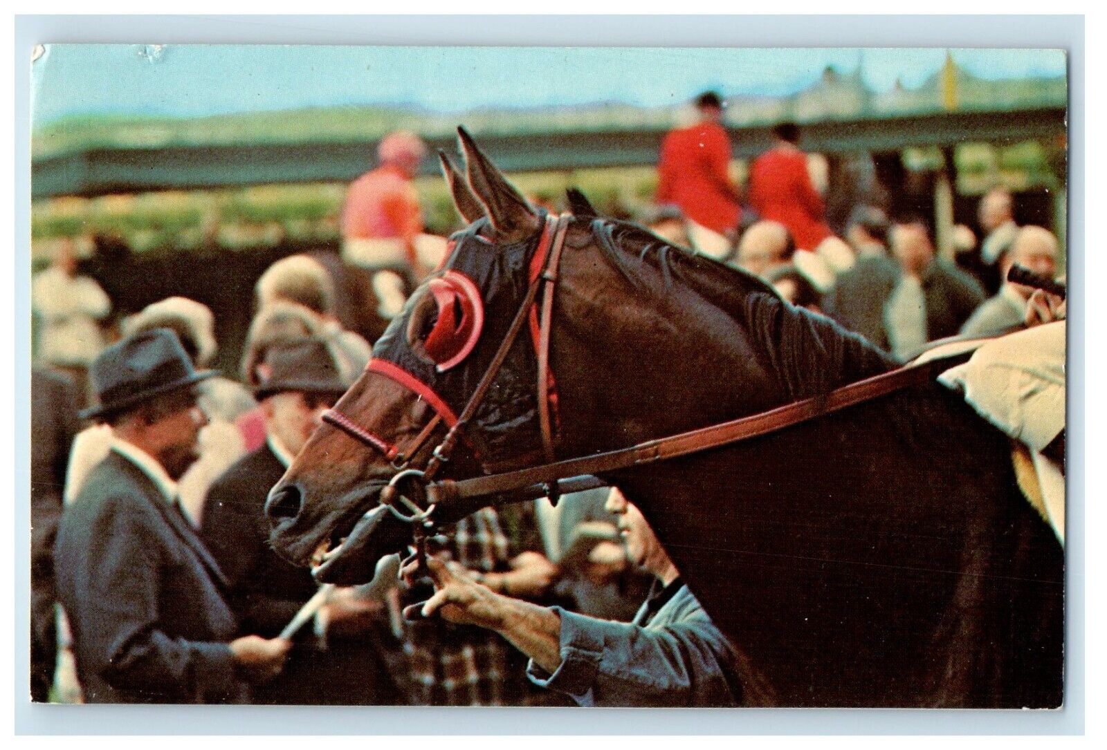 c1960\'s Aqueduct Belmont Park Buckpasser Horse Racing Saratoga NY Postcard