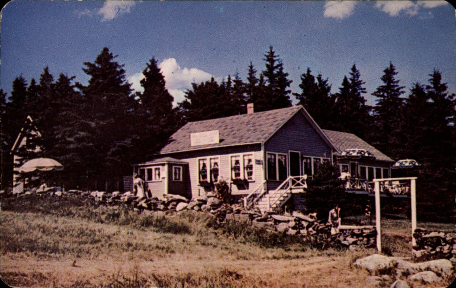Sea Gull Shop Rockland Maine ~ 1950s-60s vintage postcard
