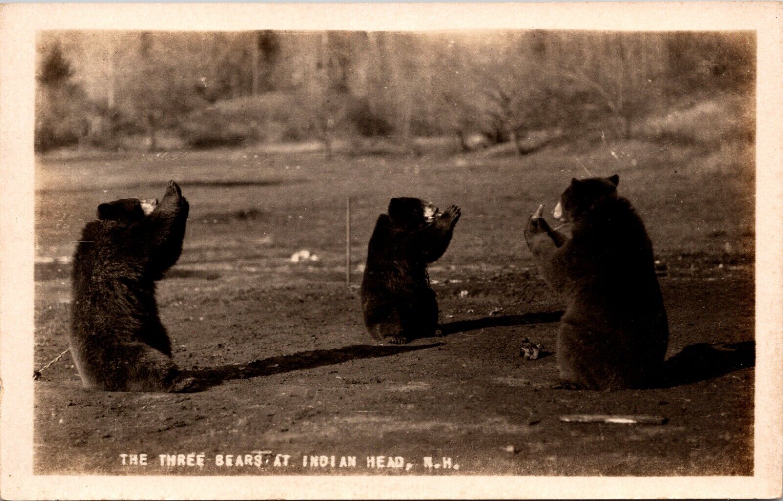 RPPC Postcard The Three Bears at Indian Head White Mts NH