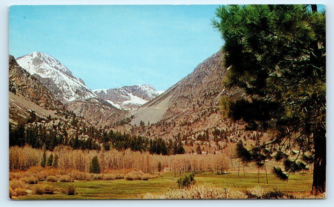 LEE VINING CANYON. CA California ~ View of CANYON & TIOGA PASS  c1950s  Postcard